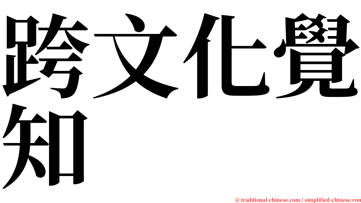 跨文化覺知 serif font