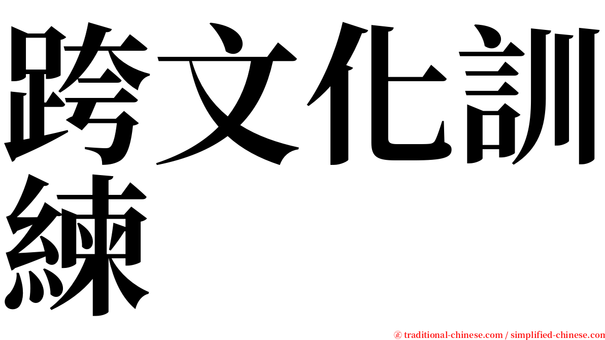 跨文化訓練 serif font
