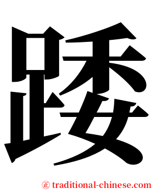 踒 serif font