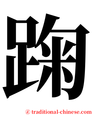 踘 serif font