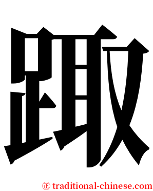 踙 serif font