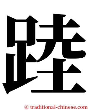 踛 serif font