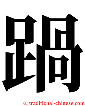 踻 serif font