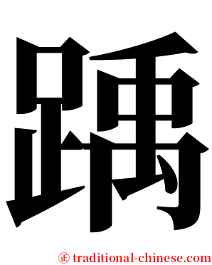 踽 serif font