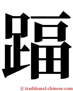 踾 serif font