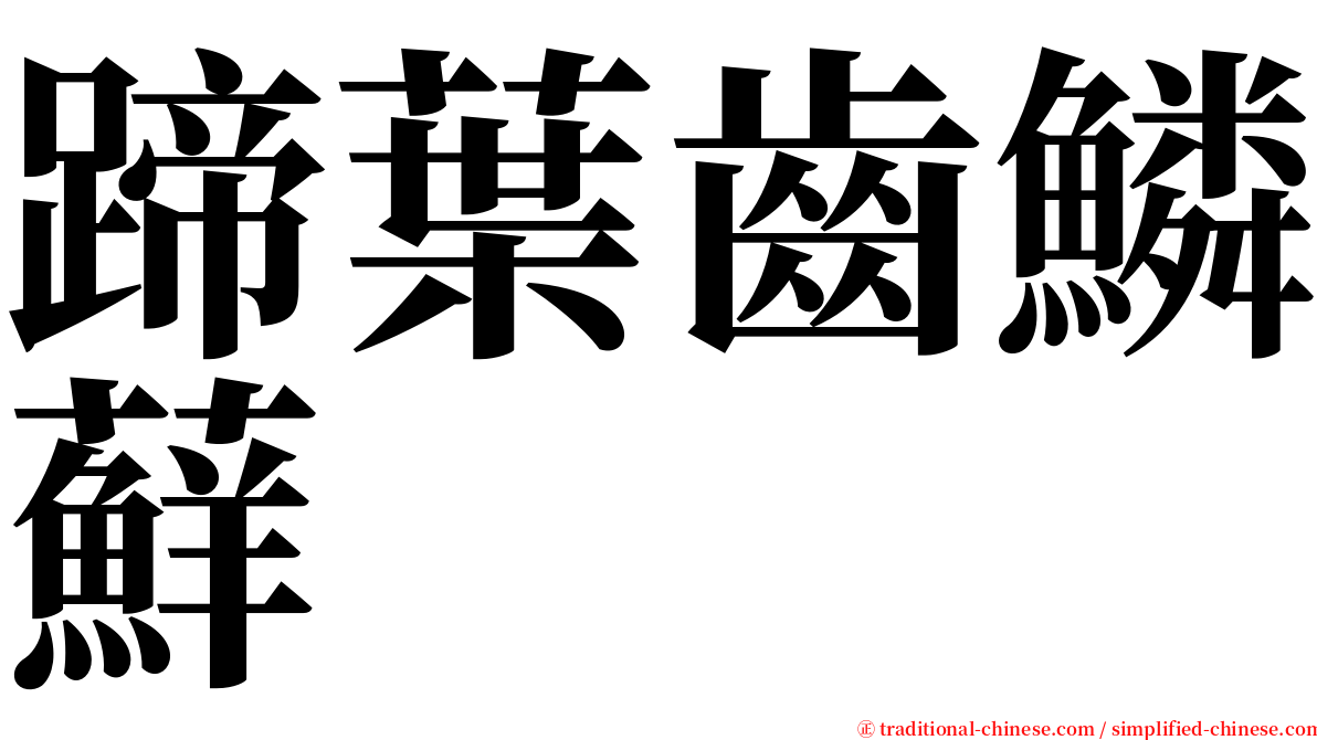 蹄葉齒鱗蘚 serif font
