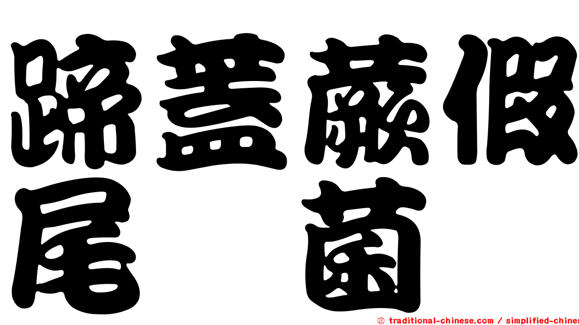 蹄蓋蕨假尾孢菌