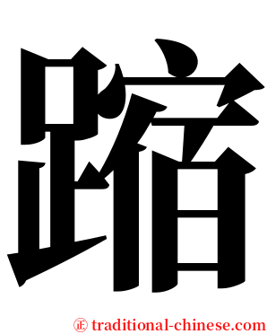 蹜 serif font