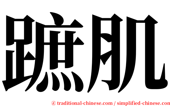 蹠肌 serif font