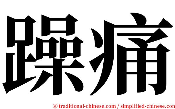 躁痛 serif font