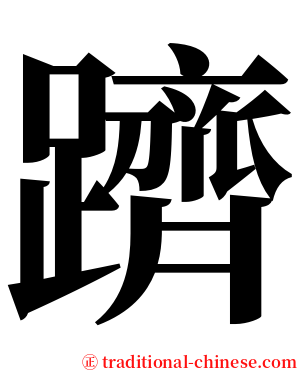 躋 serif font