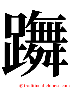 躌 serif font