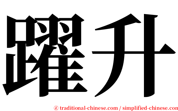 躍升 serif font