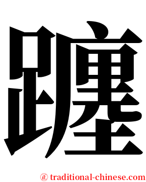 躔 serif font