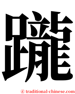 躘 serif font