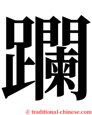 躝 serif font
