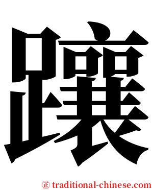 躟 serif font