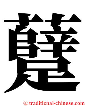 躠 serif font