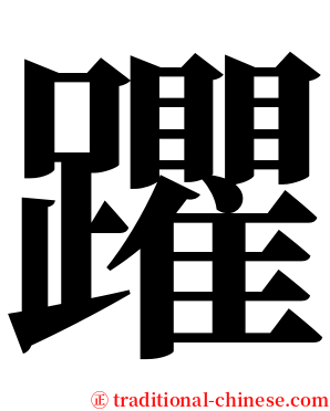 躣 serif font