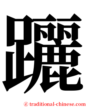躧 serif font