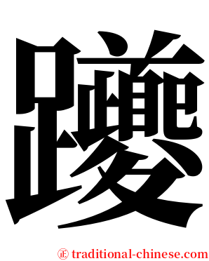 躨 serif font