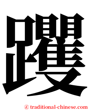 躩 serif font