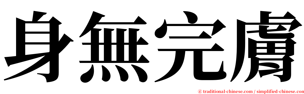 身無完膚 serif font
