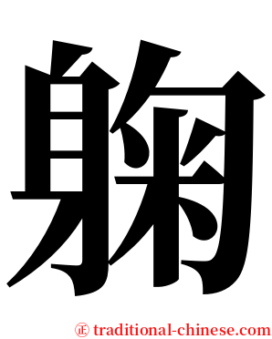躹 serif font