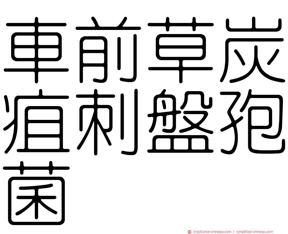 車前草炭疽刺盤孢菌