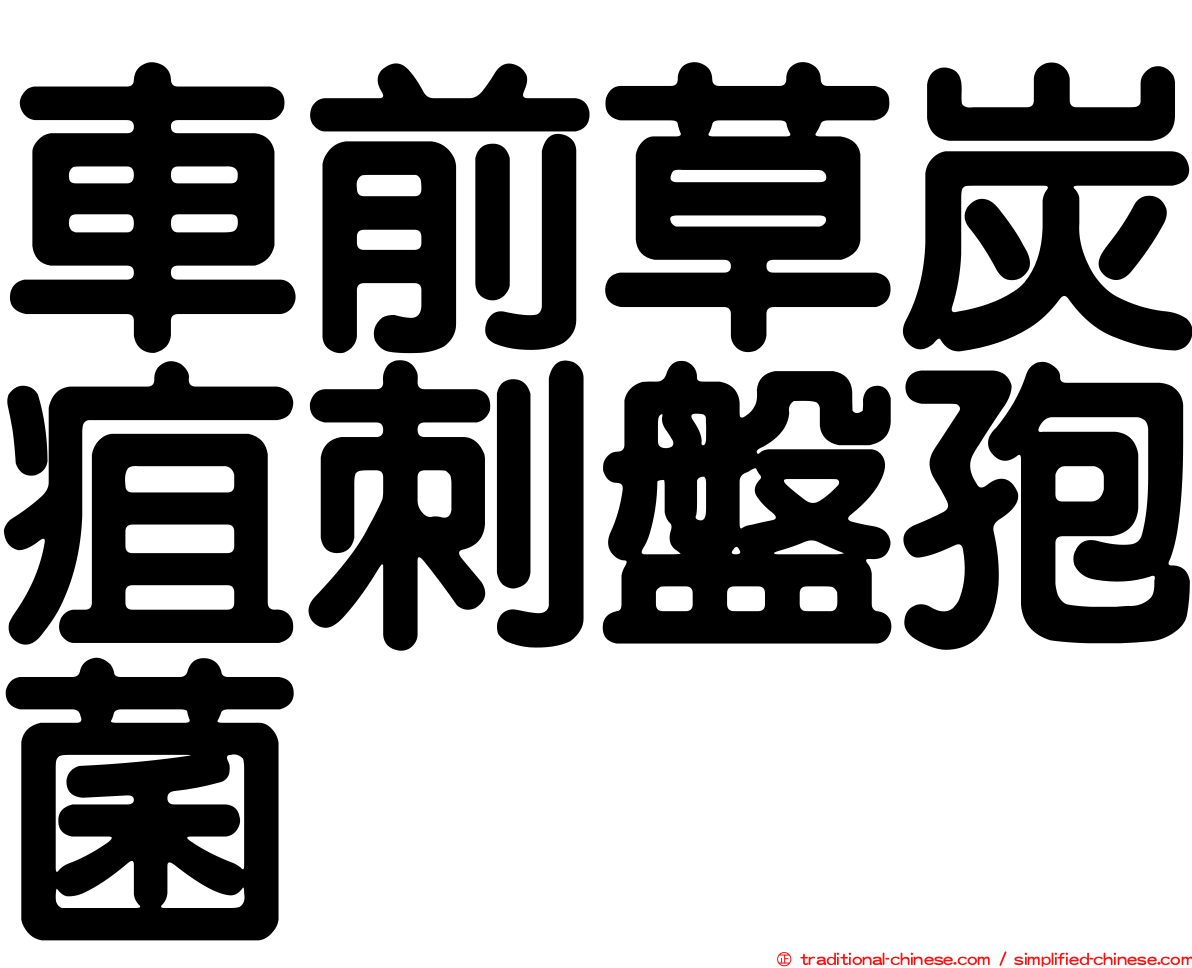 車前草炭疽刺盤孢菌