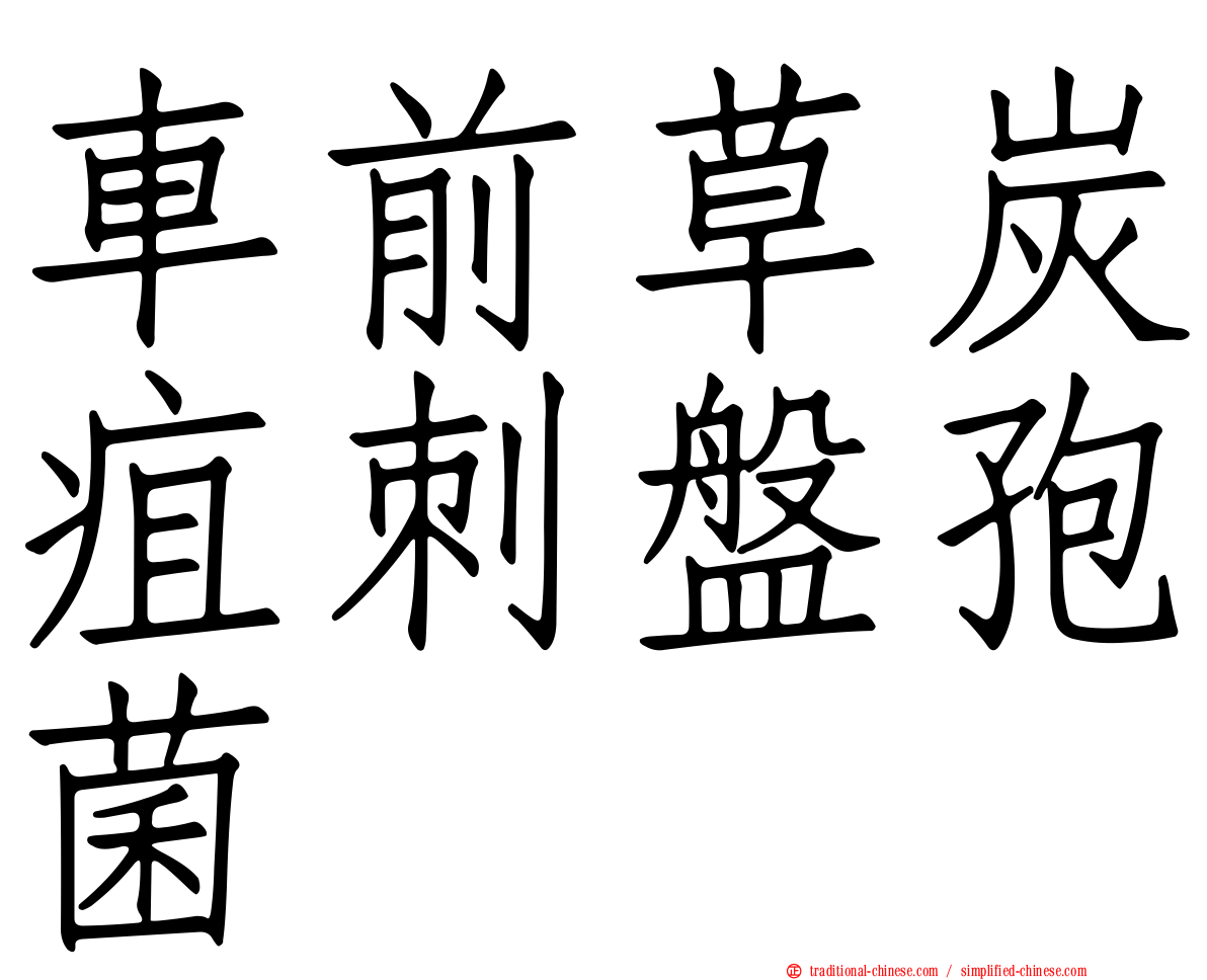 車前草炭疽刺盤孢菌