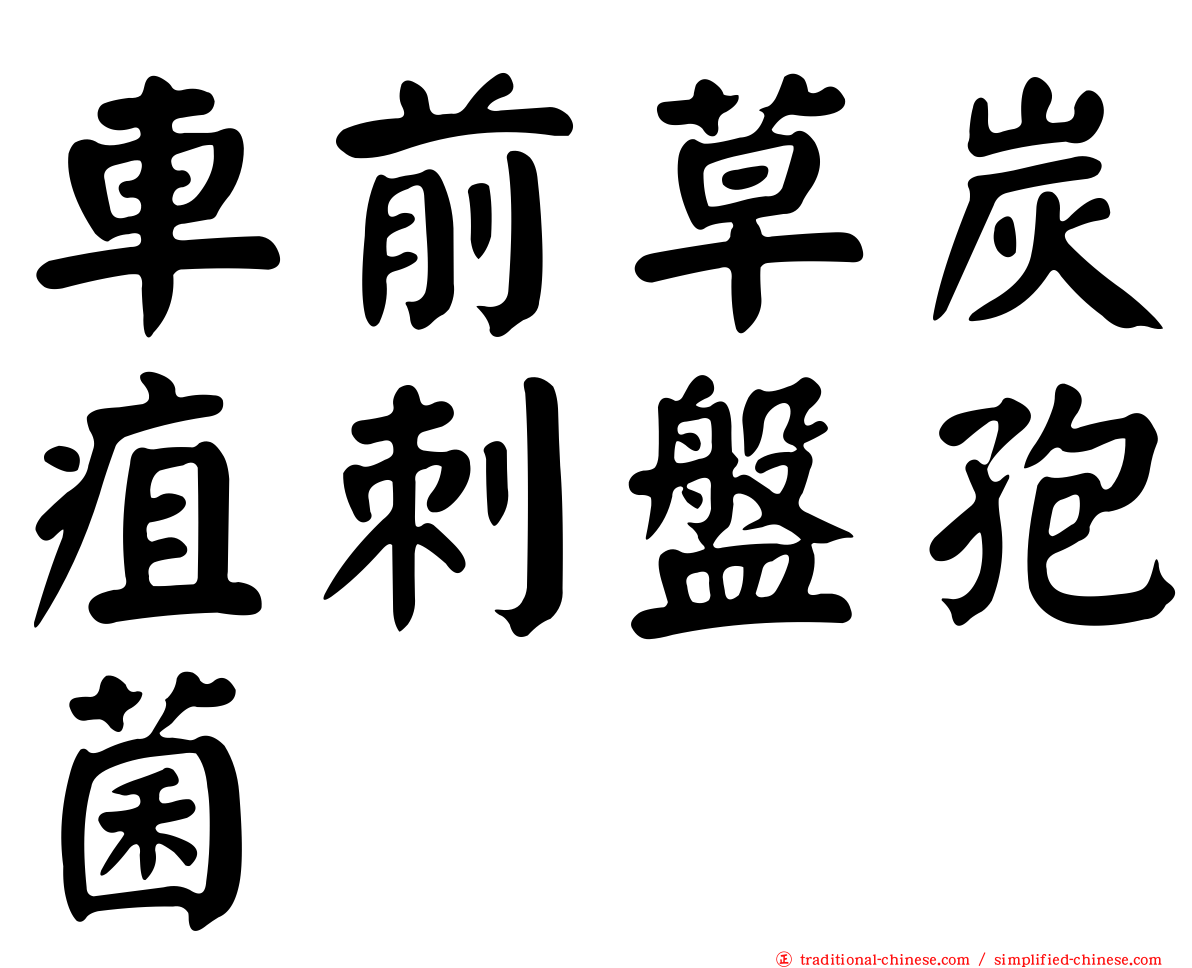 車前草炭疽刺盤孢菌