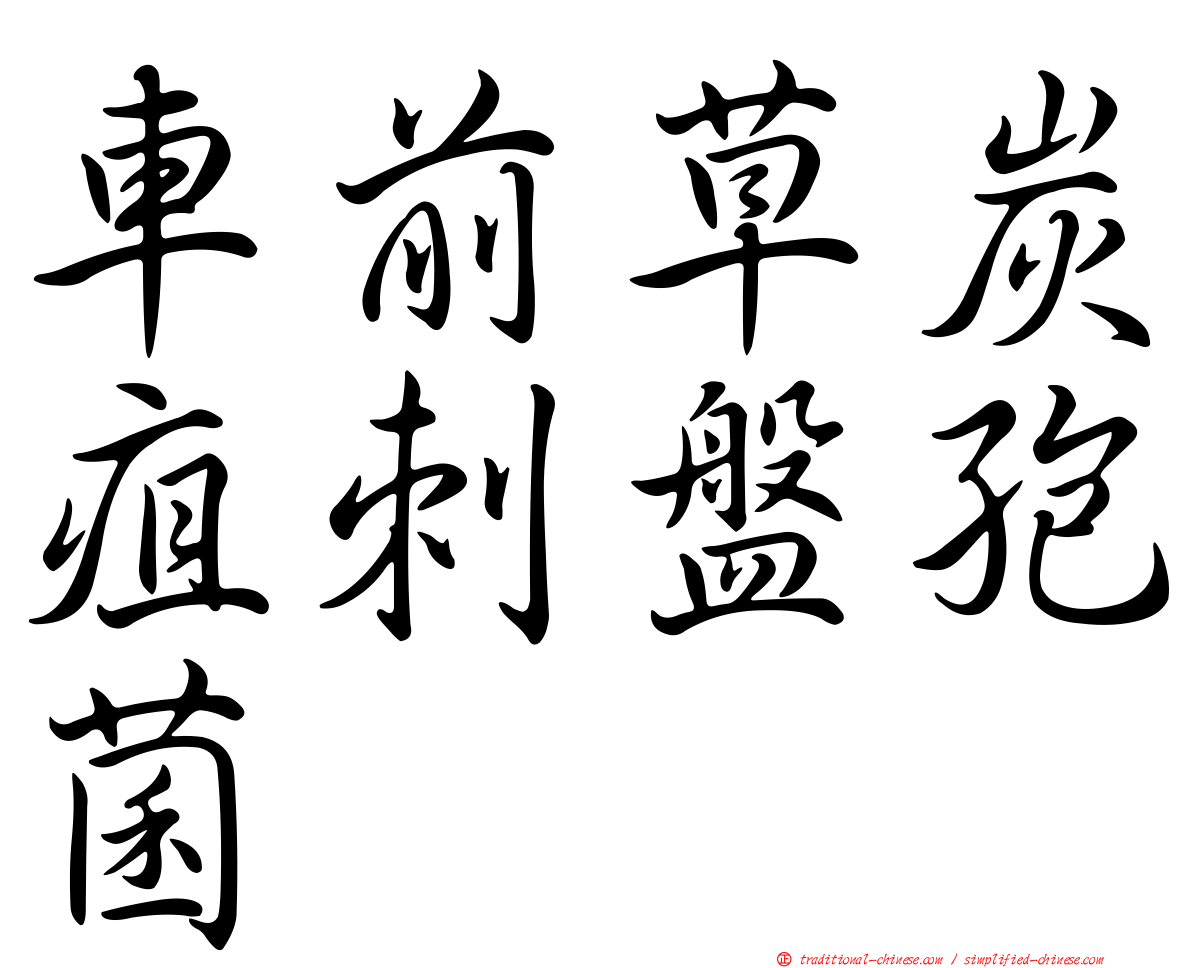 車前草炭疽刺盤孢菌
