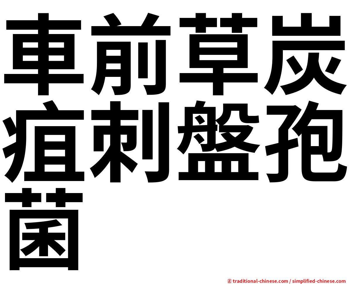 車前草炭疽刺盤孢菌
