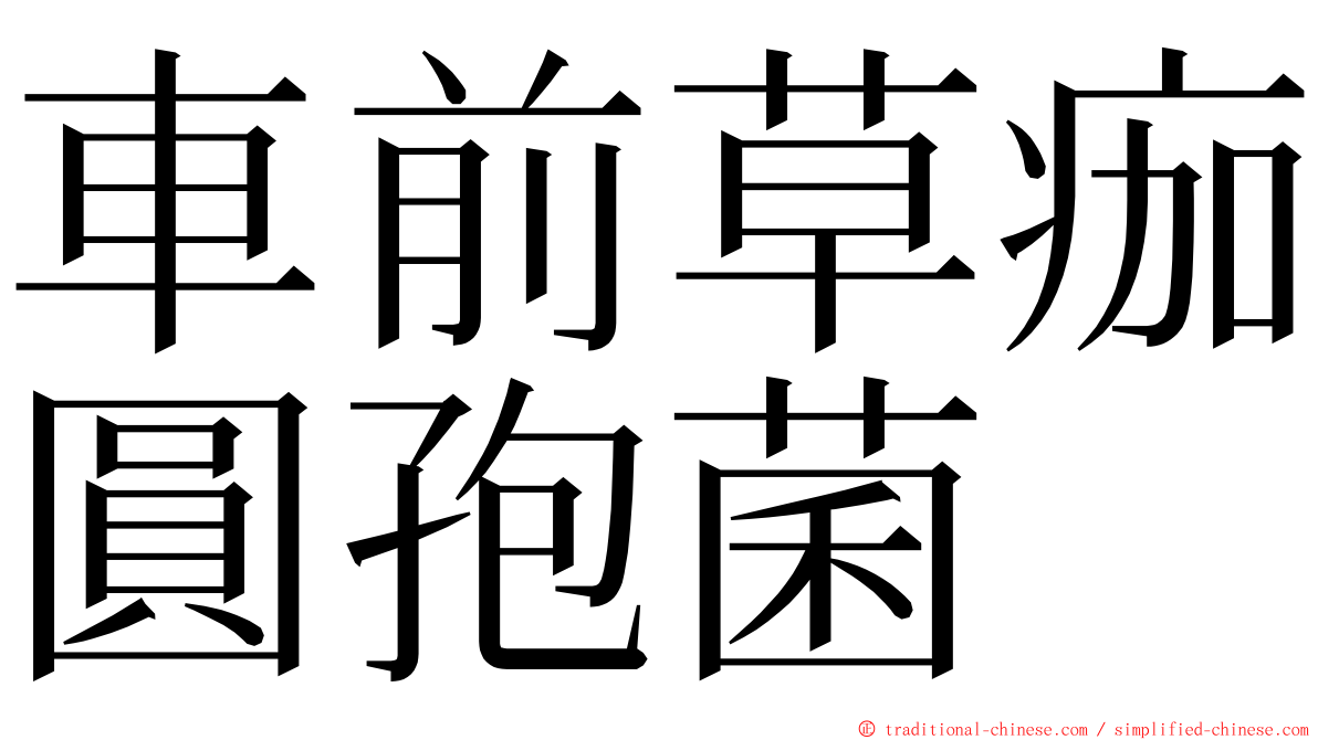 車前草痂圓孢菌 ming font