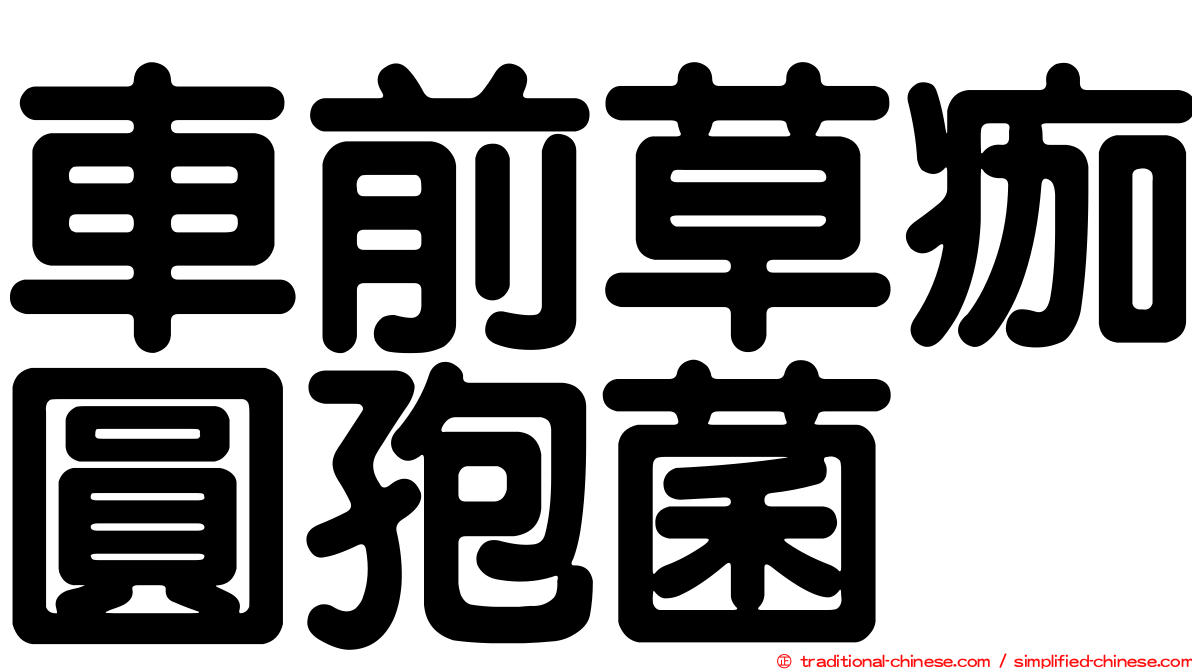 車前草痂圓孢菌