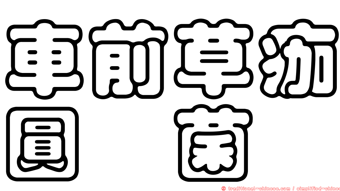 車前草痂圓孢菌
