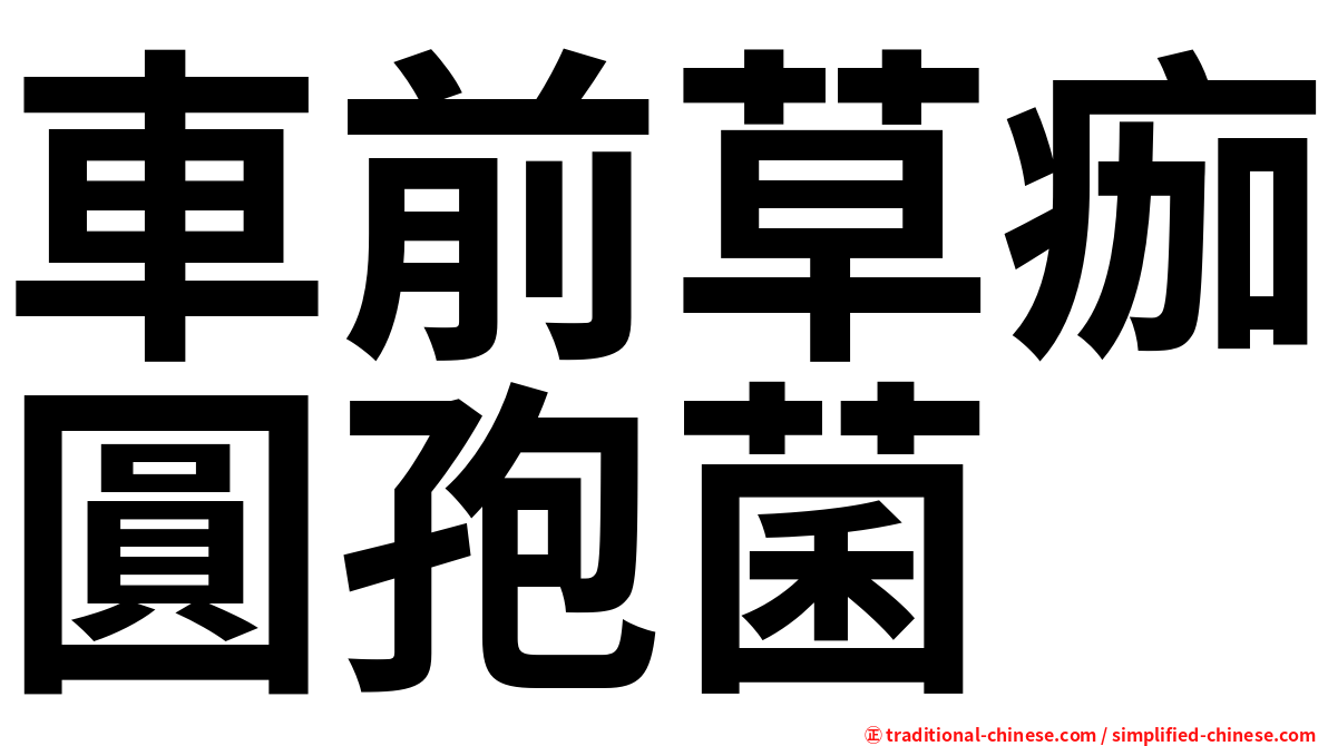 車前草痂圓孢菌