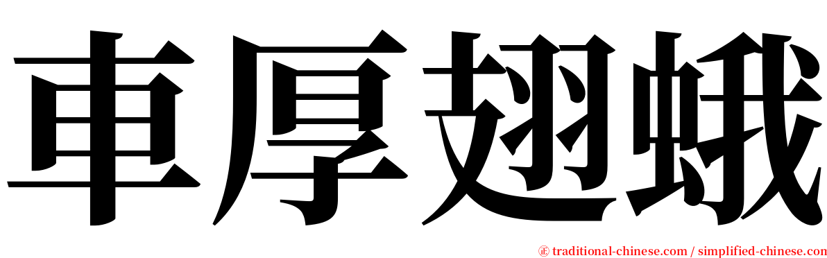 車厚翅蛾 serif font