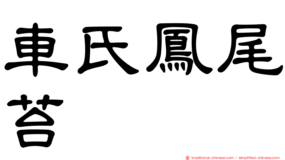 車氏鳳尾苔