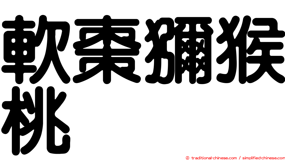 軟棗獼猴桃