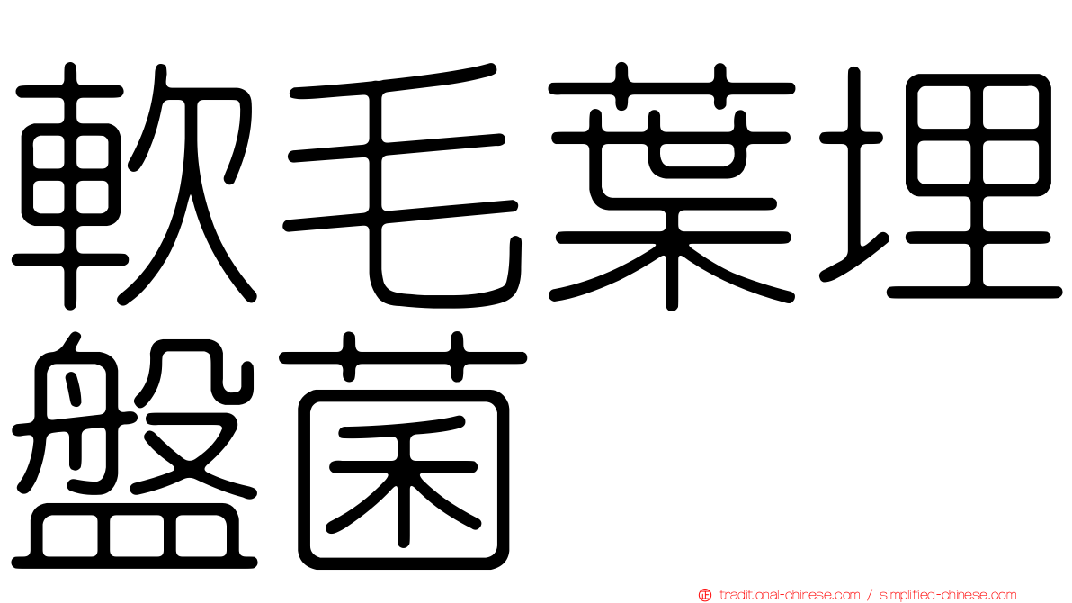 軟毛葉埋盤菌