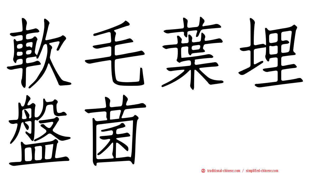 軟毛葉埋盤菌