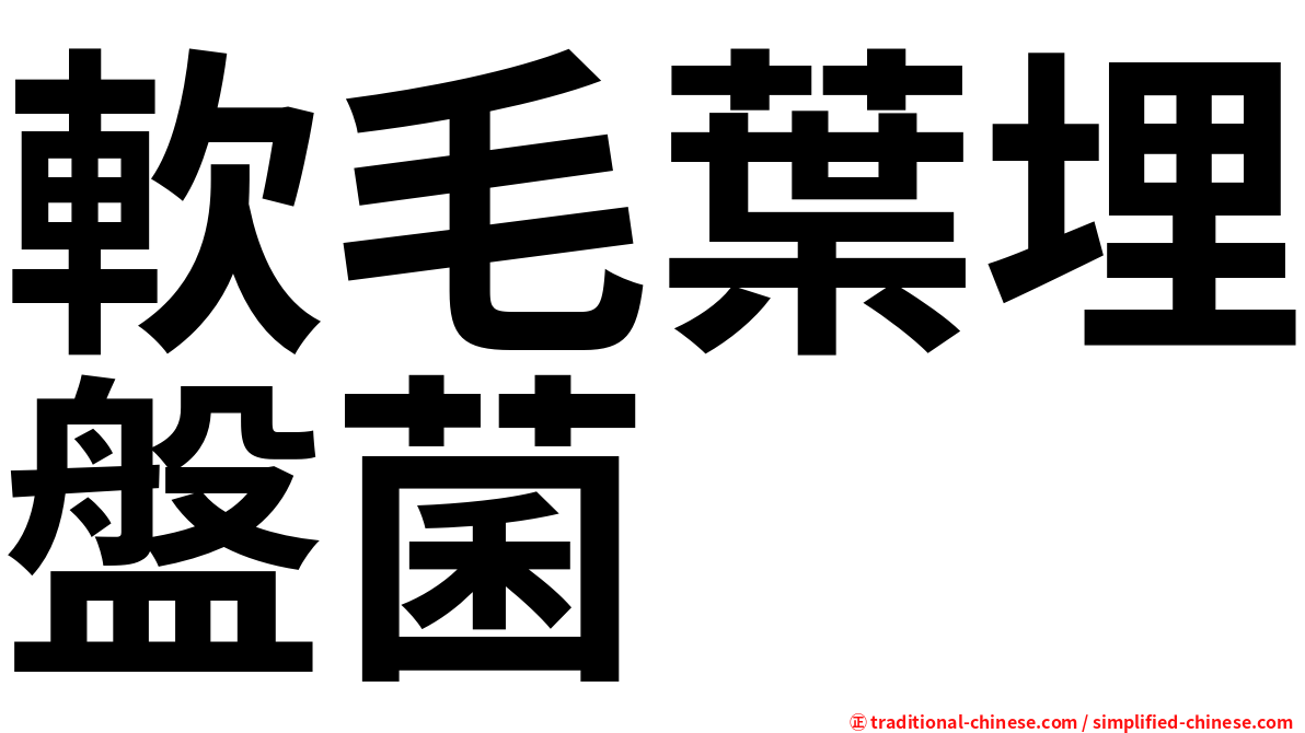 軟毛葉埋盤菌