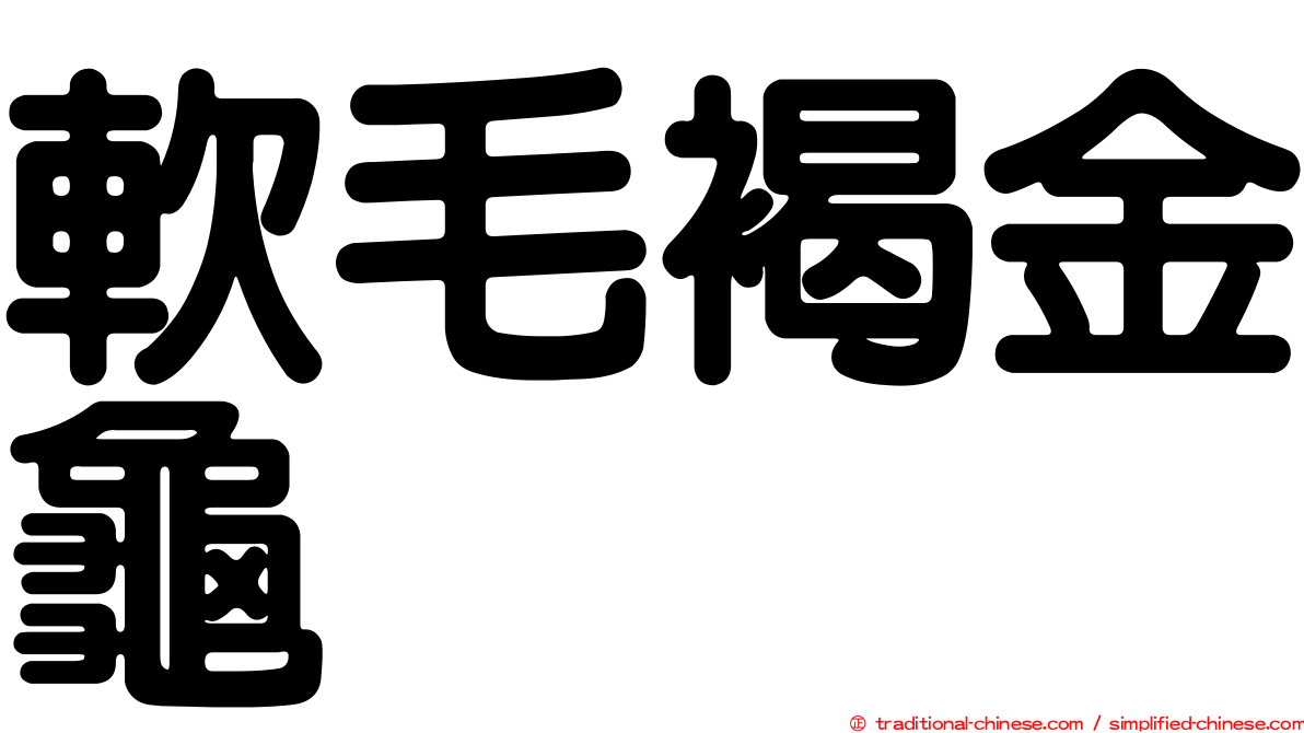 軟毛褐金龜