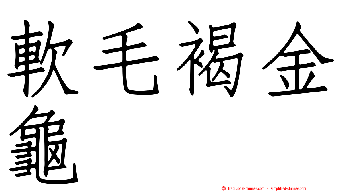 軟毛褐金龜