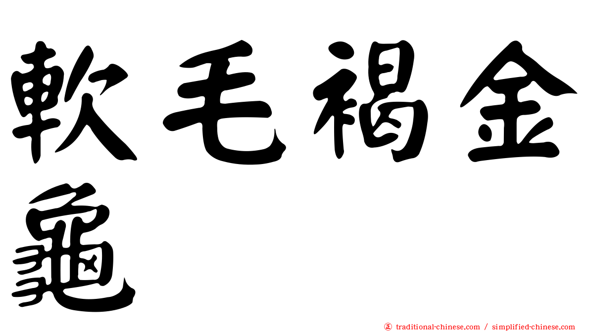 軟毛褐金龜