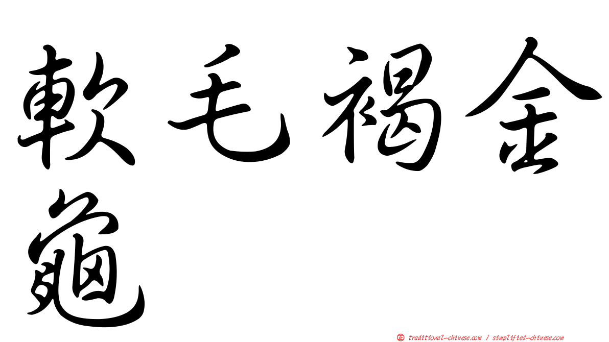 軟毛褐金龜