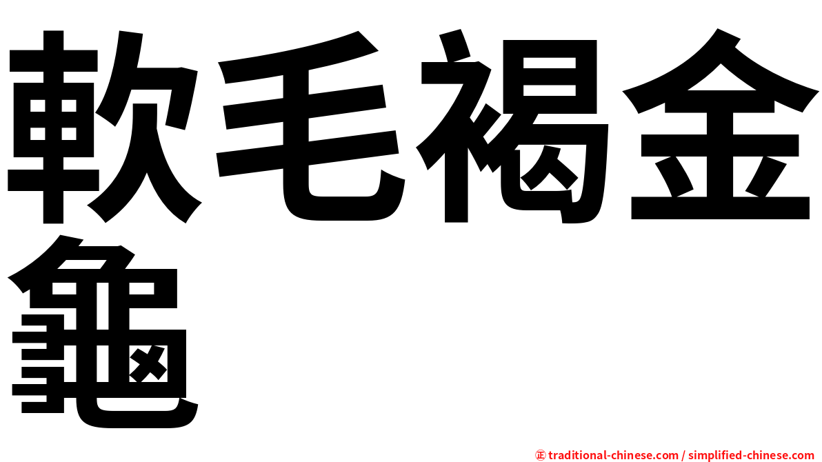 軟毛褐金龜