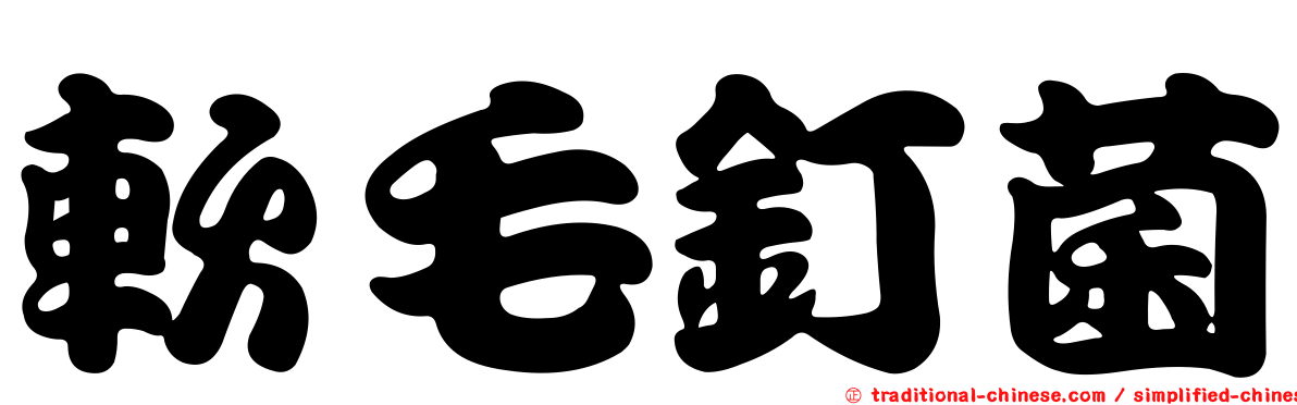 軟毛釘菌